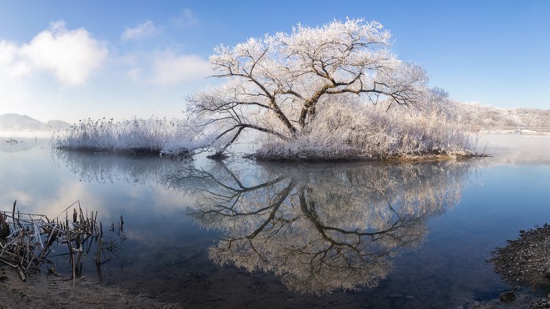 Wolsangri Ice Treephoto preview