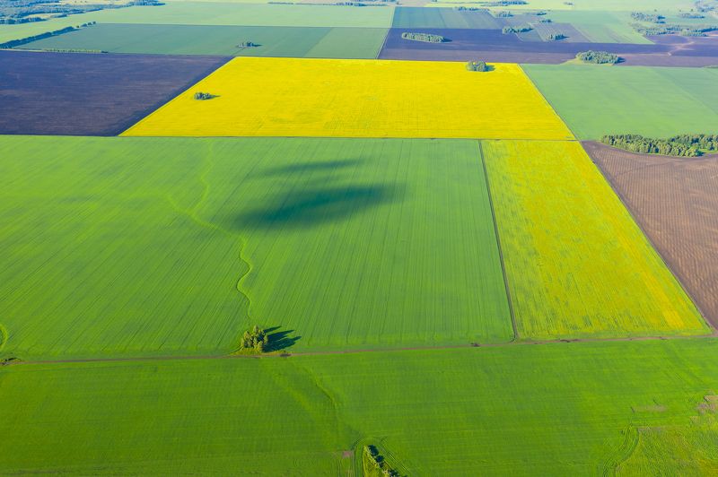 зауралье курганская тюменская поля   фото превью