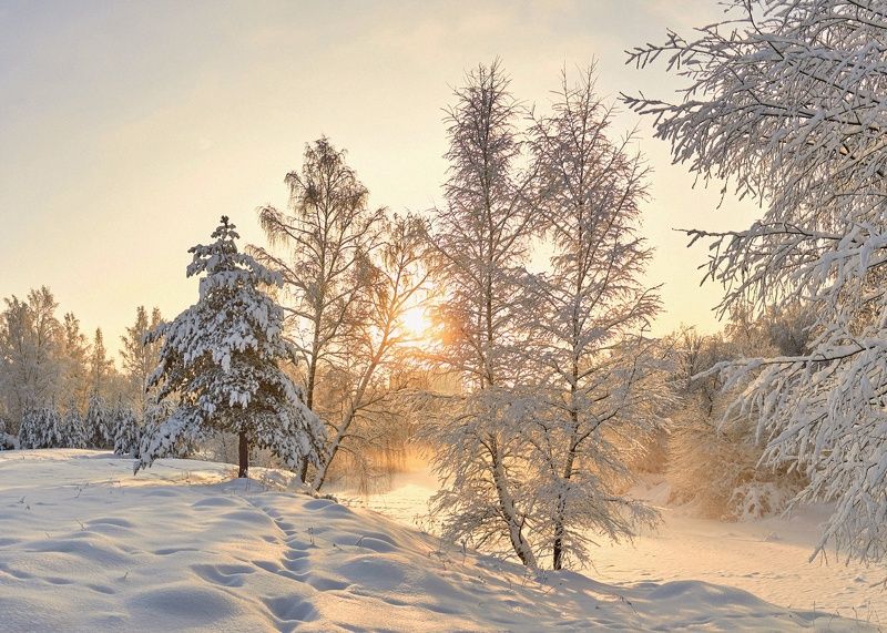 зима, река, снег, солнце, березы, сосны, туман, изморозь Солнечный деньphoto preview