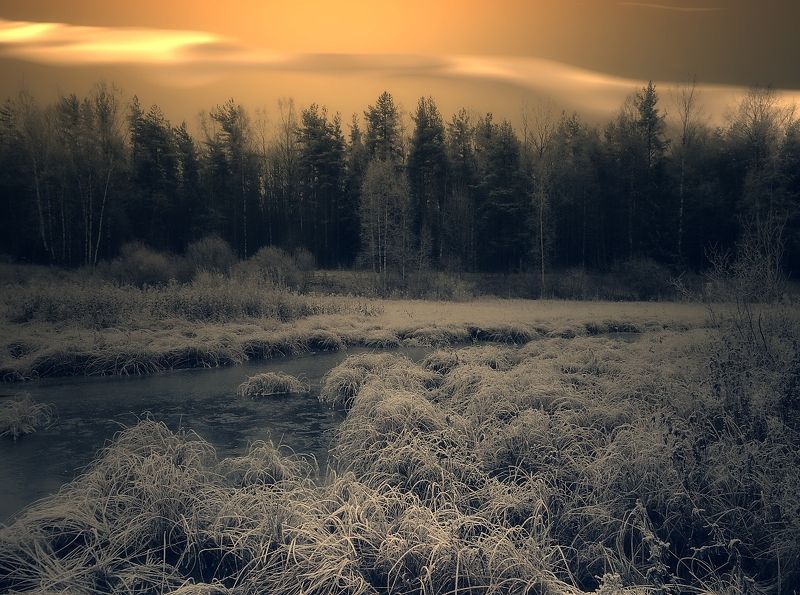 пейзаж, природа, осень, лес, ручей, лед, небо, облака Осенние зарисовки IIphoto preview