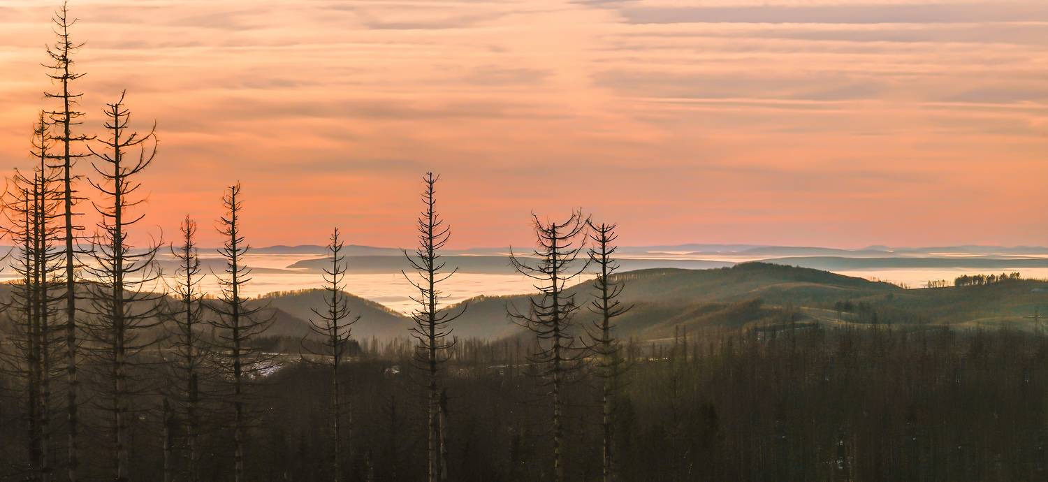 Автор: Игорь Дубровский , Игорь Дубровский