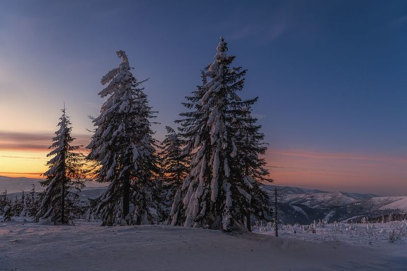 O świciephoto preview