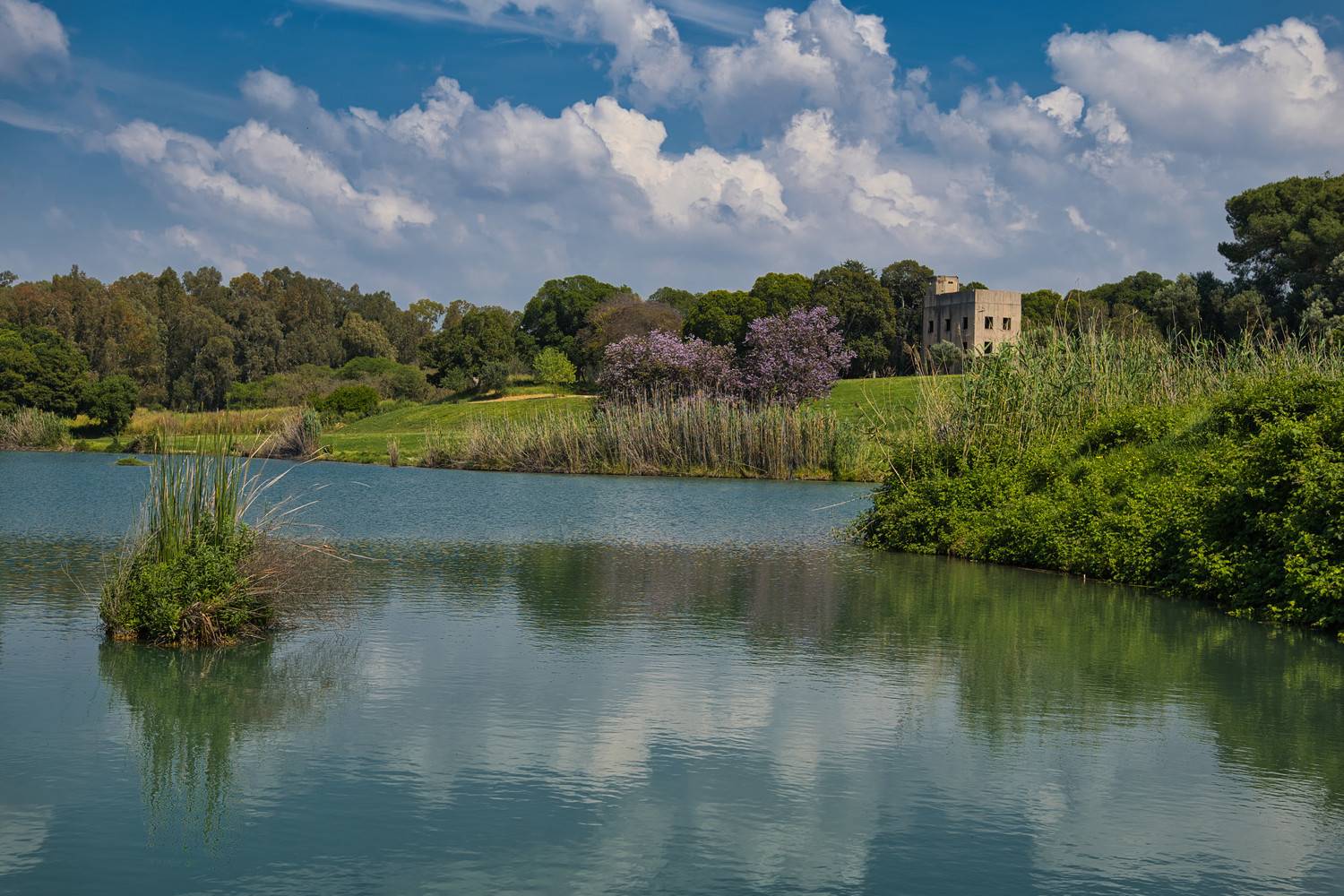 Yarkon National Park – Tel Afek area (Antipatris). Автор: David Solodar , David Solodar