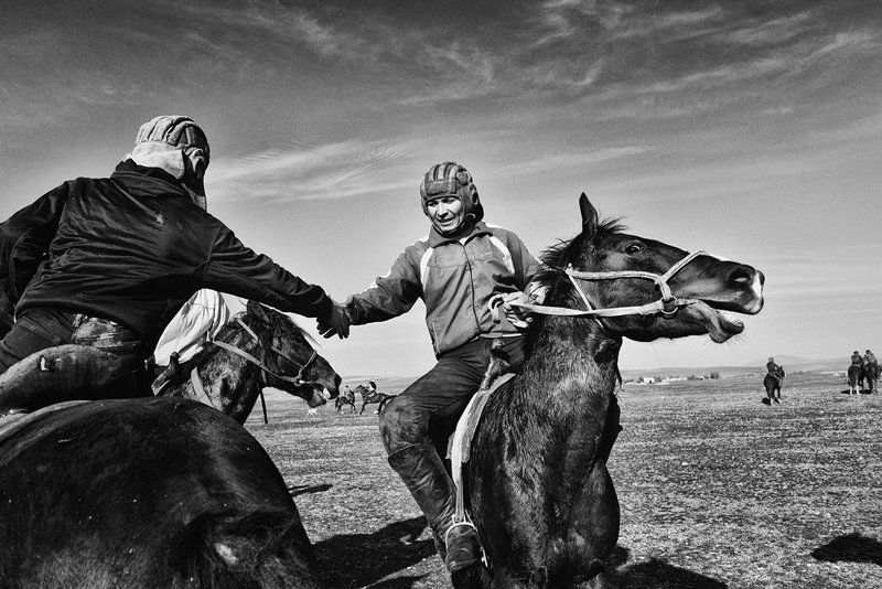 Кокпар. На кокпаре.photo preview