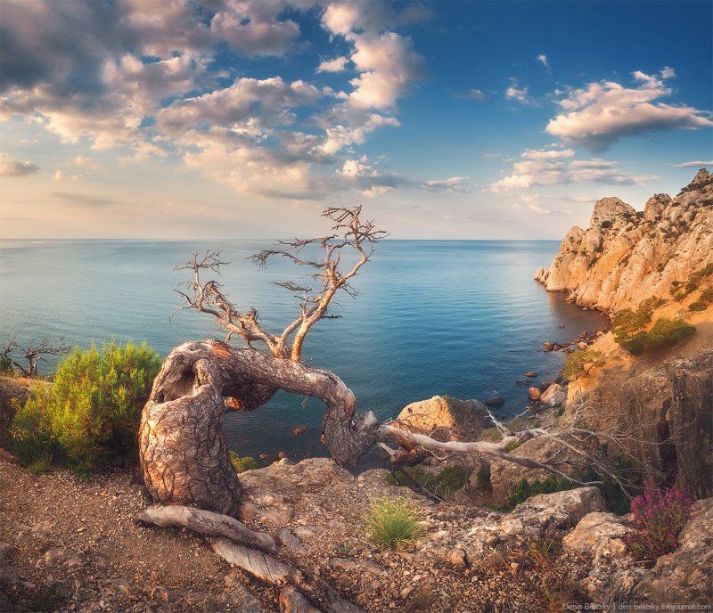 пейзаж, горы, дерево,  скалы, рассвет, небо, облака, море, свет, солнце, крым, новый свет, путешествие Рассвет на Караул-Оба (Новый Свет, Крым)photo preview