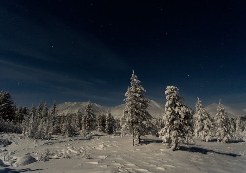 Звёзды, Зимний лес, Ночь, Природа Лунная ночь в горахphoto preview