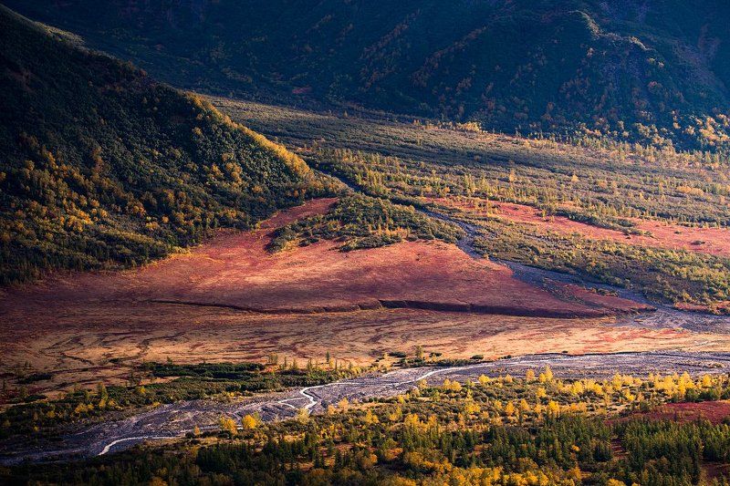 Камчатка, Осень Осень зажигает тайгуphoto preview