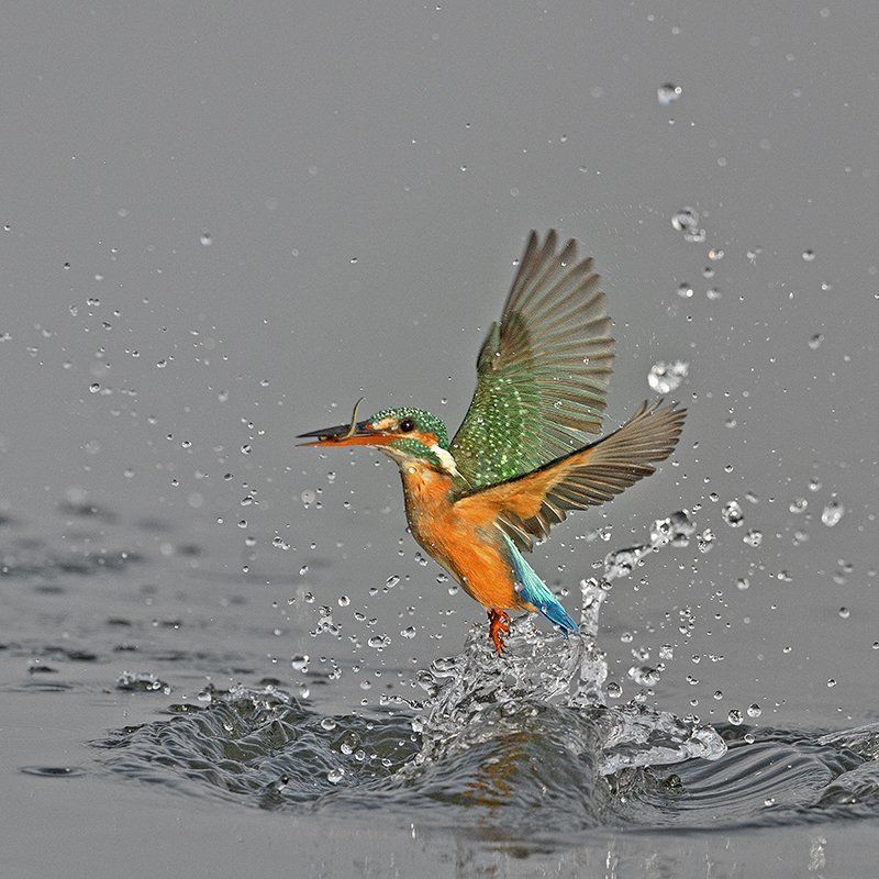 Baiju Patil, India