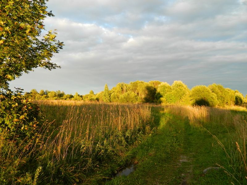 Елена, Russia