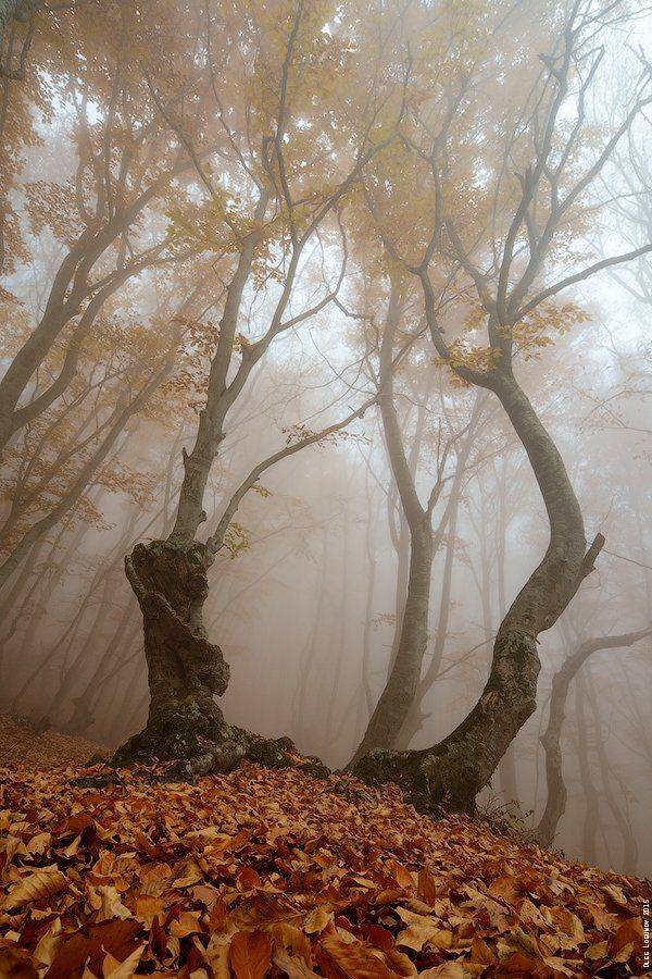 , Олег Логунов