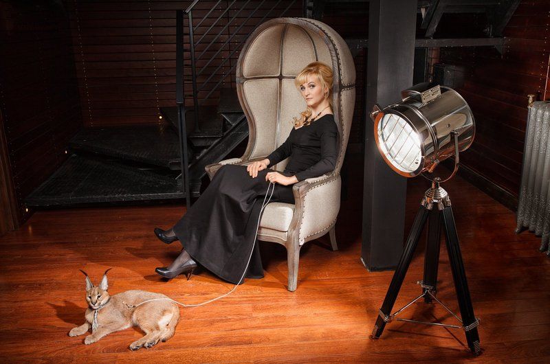 ::: Дама с кошкой ::: photo preview