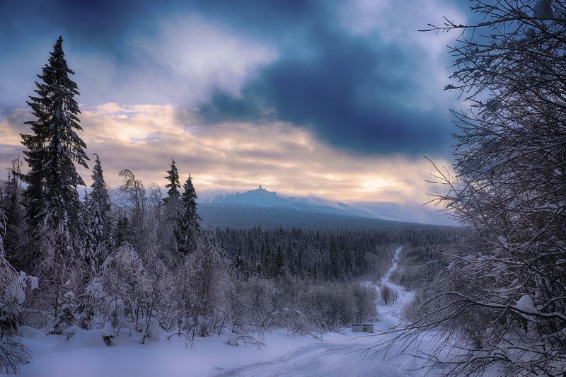 В начале тропыphoto preview