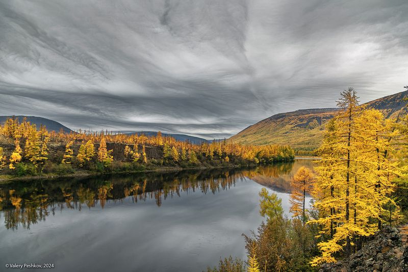 плато путорана, осень, облака, asperitas, асперитас, необычные облака, лиственницы, курейка, таймыр, заполярье, база коваля, владимир коваль Два состоянияphoto preview