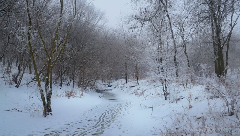 Зимняя речка.photo preview