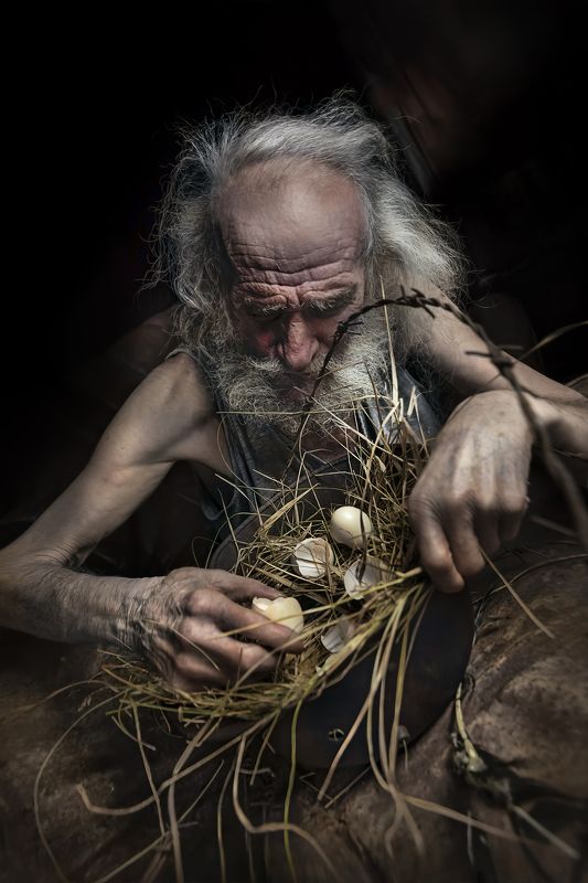 Destroyed nest I.photo preview