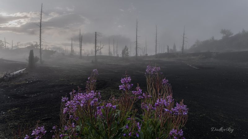 Камчатка, рассвет  Рассвет фото превью