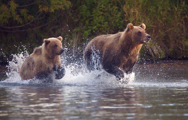 Мамуля, я тебя догоняю)photo preview