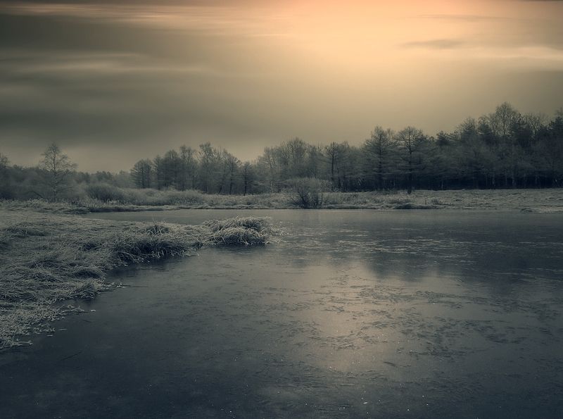 пейзаж, природа, осень, лес, пруд, лед, небо, облака Осенние зарисовки Vphoto preview