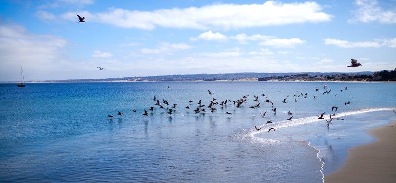 Монтеррей Monterreyphoto preview