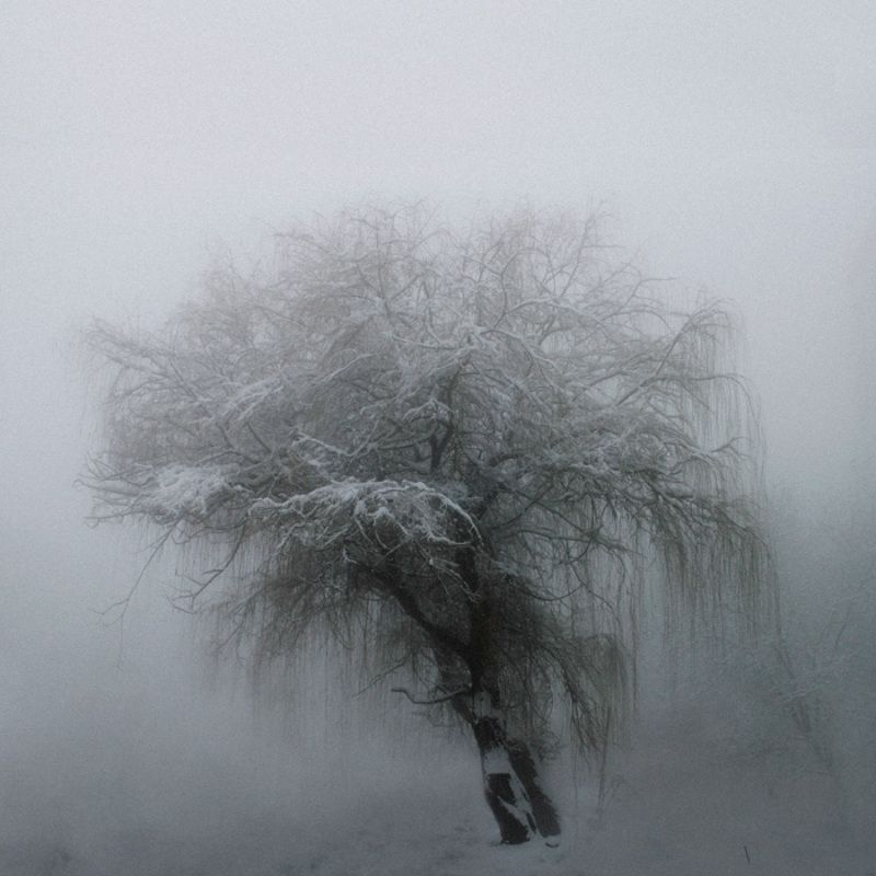 Untitledphoto preview