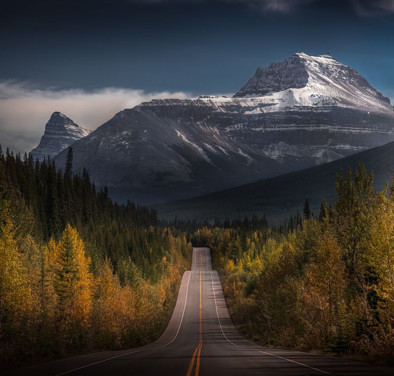 Canada, icefields, parkway, rocky mountains, travel Icefields Parkwayphoto preview