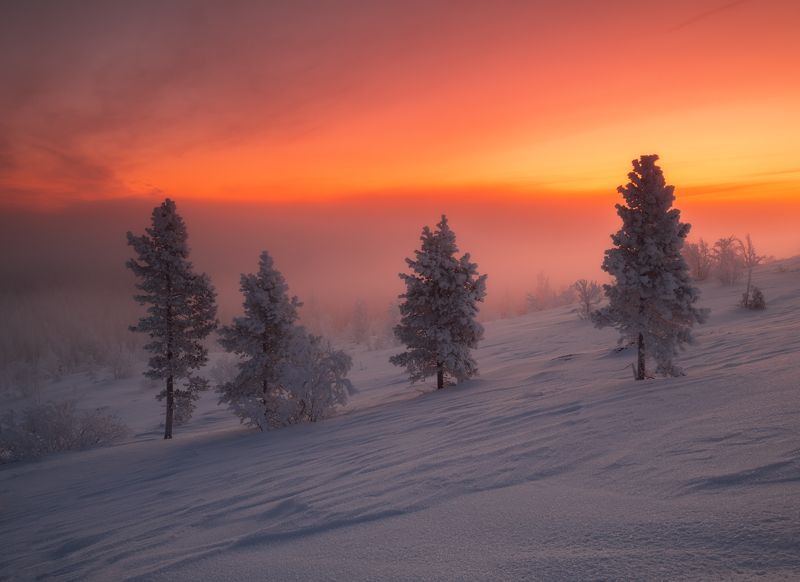 пейзаж,хибины ,кольский,север,россия,апатиты,экостровский,зима на рассветеphoto preview