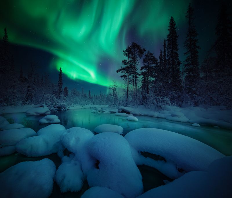 кольский полуостров, кольский, зима, северное сияние, полярное сияние, winter, snou, kola peninsula, forest, aurora borealis Зимняя сказкаphoto preview