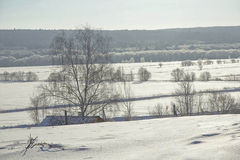 В Рождество все немного волхвы (с)photo preview