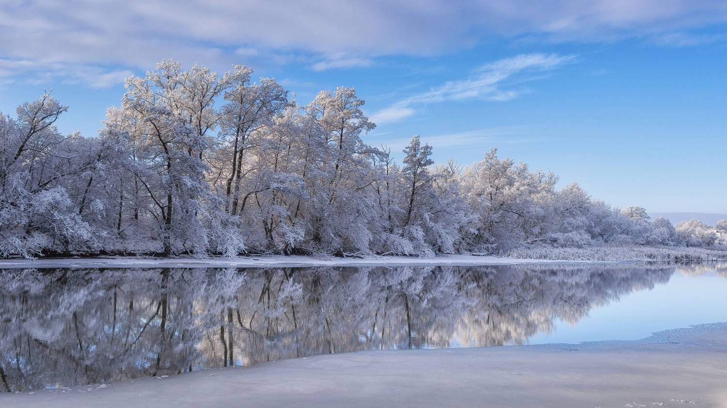 Снежное утро. Автор: Alexander Eliseev , Alexander Eliseev