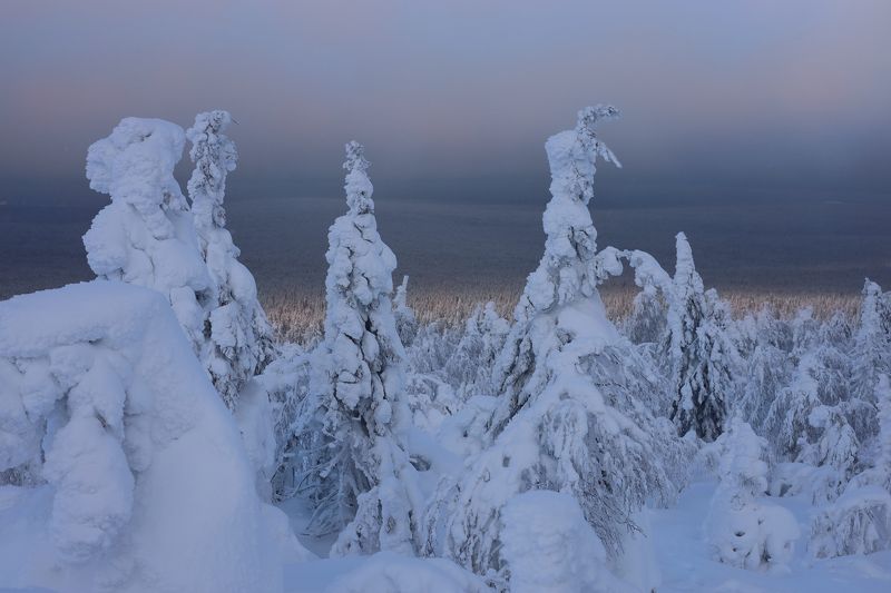 Солнечный штрихphoto preview