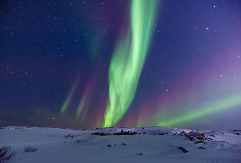 Новогоднее представлениеphoto preview