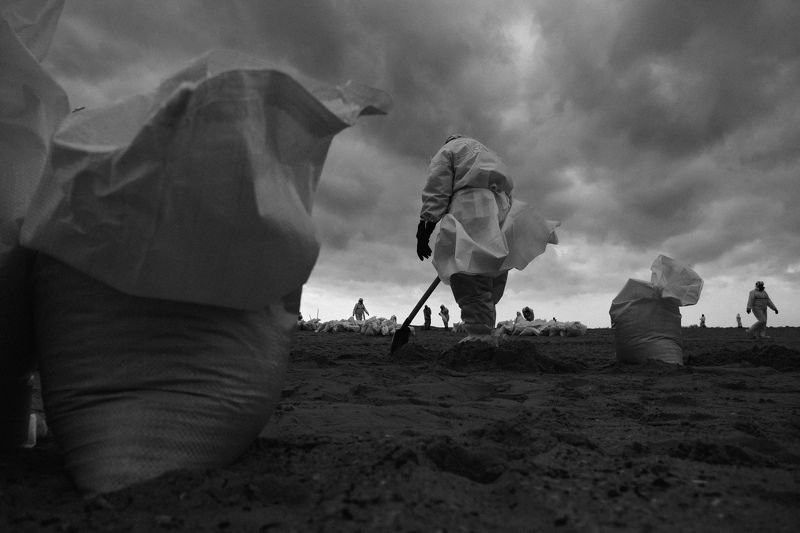 Черное море, волонтеры, ЧС, мазут Хмурые дниphoto preview