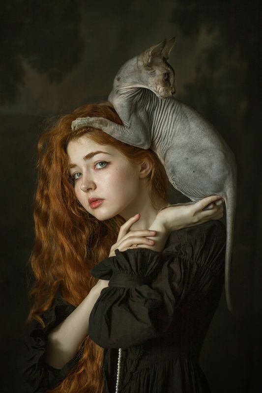 Котикиphoto preview