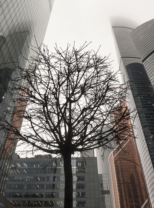 Городские мотивы фото превью