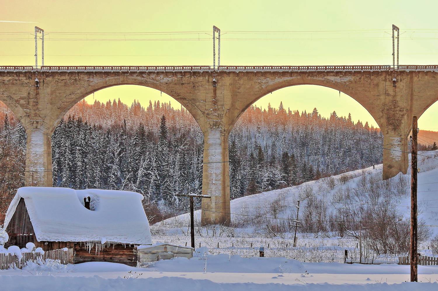 , Пермяков Михаил