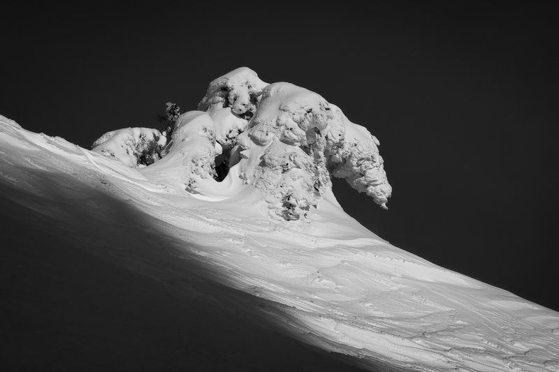 2024 фото превью