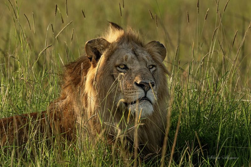 Пора и отдохнуть...photo preview