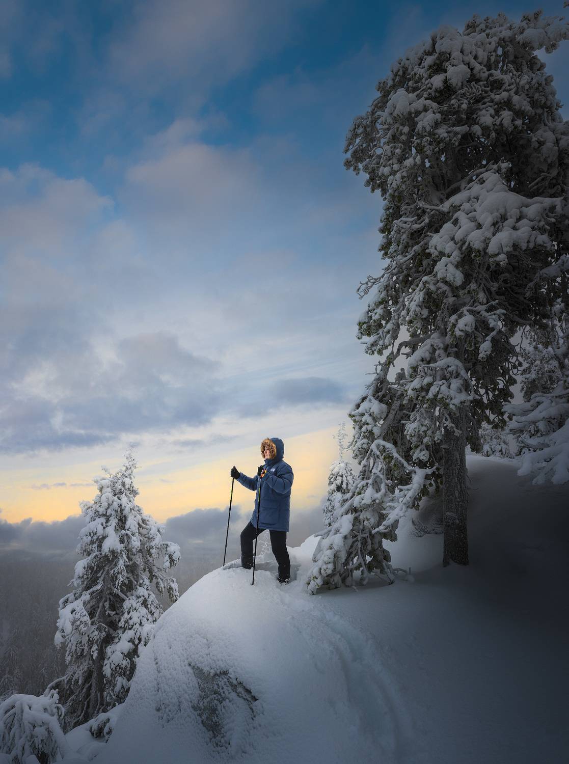 Koli National Park. Автор: Андрей Овдиенко , Андрей Овдиенко