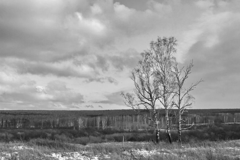 тишина фото превью