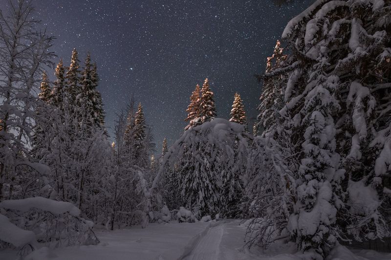 По следу снегоходаphoto preview