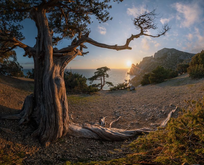 крым, новый свет, закат, январь Райские закатыphoto preview