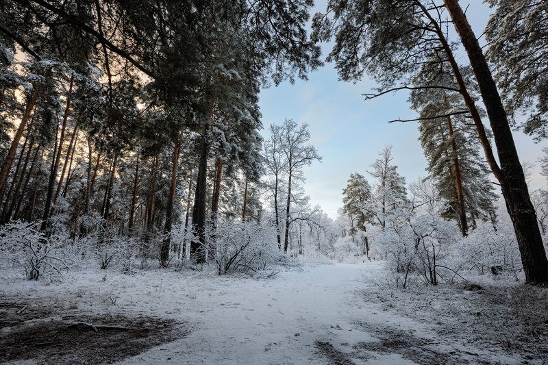 Сказочное утро зимыphoto preview