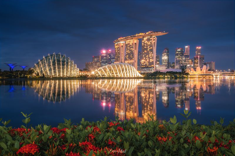 Singaporephoto preview