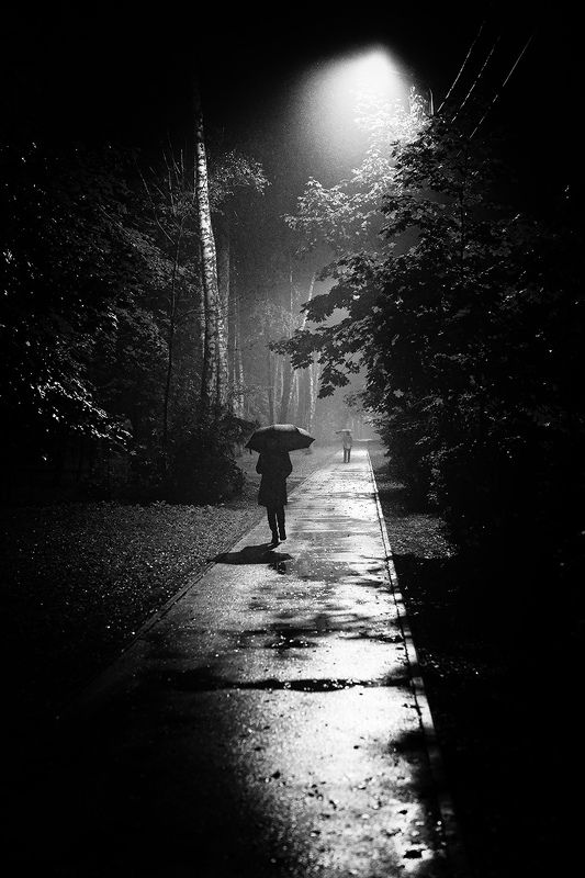 ночь, дождь, фонарь Аллея, дождь, октябрь, фонарь ...photo preview