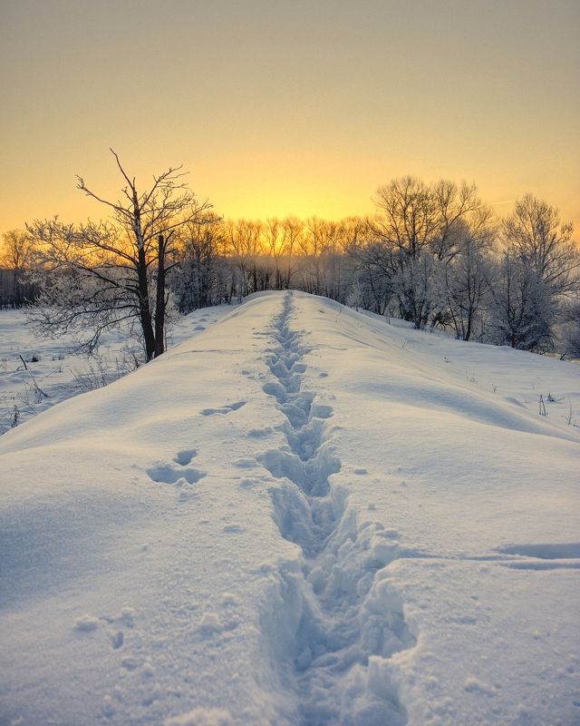 зима река снег солнце восход рассвет следы Глубокие следыphoto preview