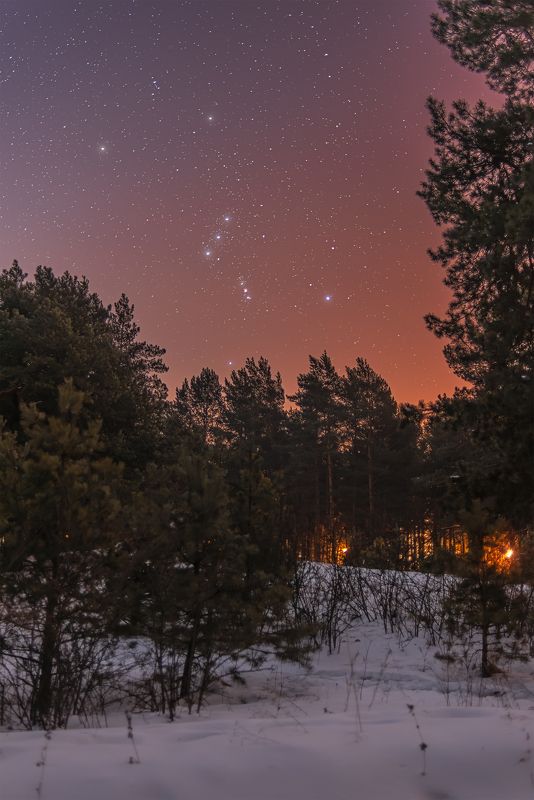 астрофото, астрофотография, ночь, астрономия, астропейзаж, млечный путь, звезды, ночное небо, night, nightphotography, stars, milkyway, longexposure, орион Главный герой зимнего небаphoto preview