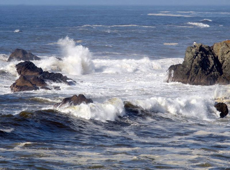 Perspective Somonaphoto preview