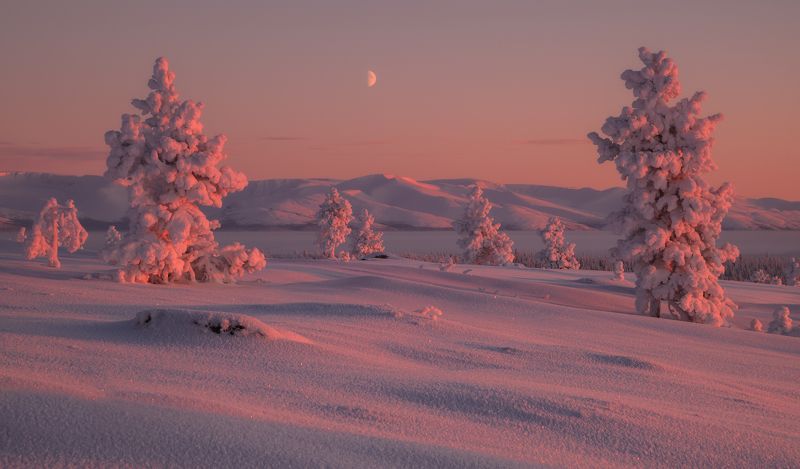 горы , хибины, кольский, север ,россия ,закат, зима, холодно, луна на закате дня photo preview