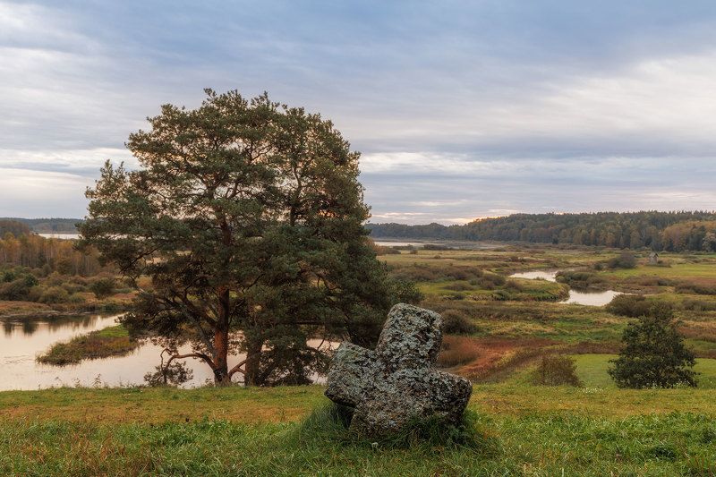 Савкина горкаphoto preview