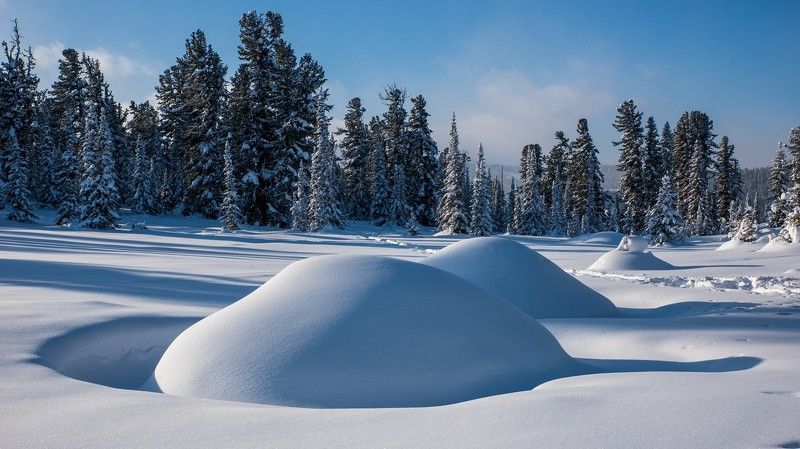 ергаки, луг, сугробы, снег, зима, ели Сторожевые сугробыphoto preview